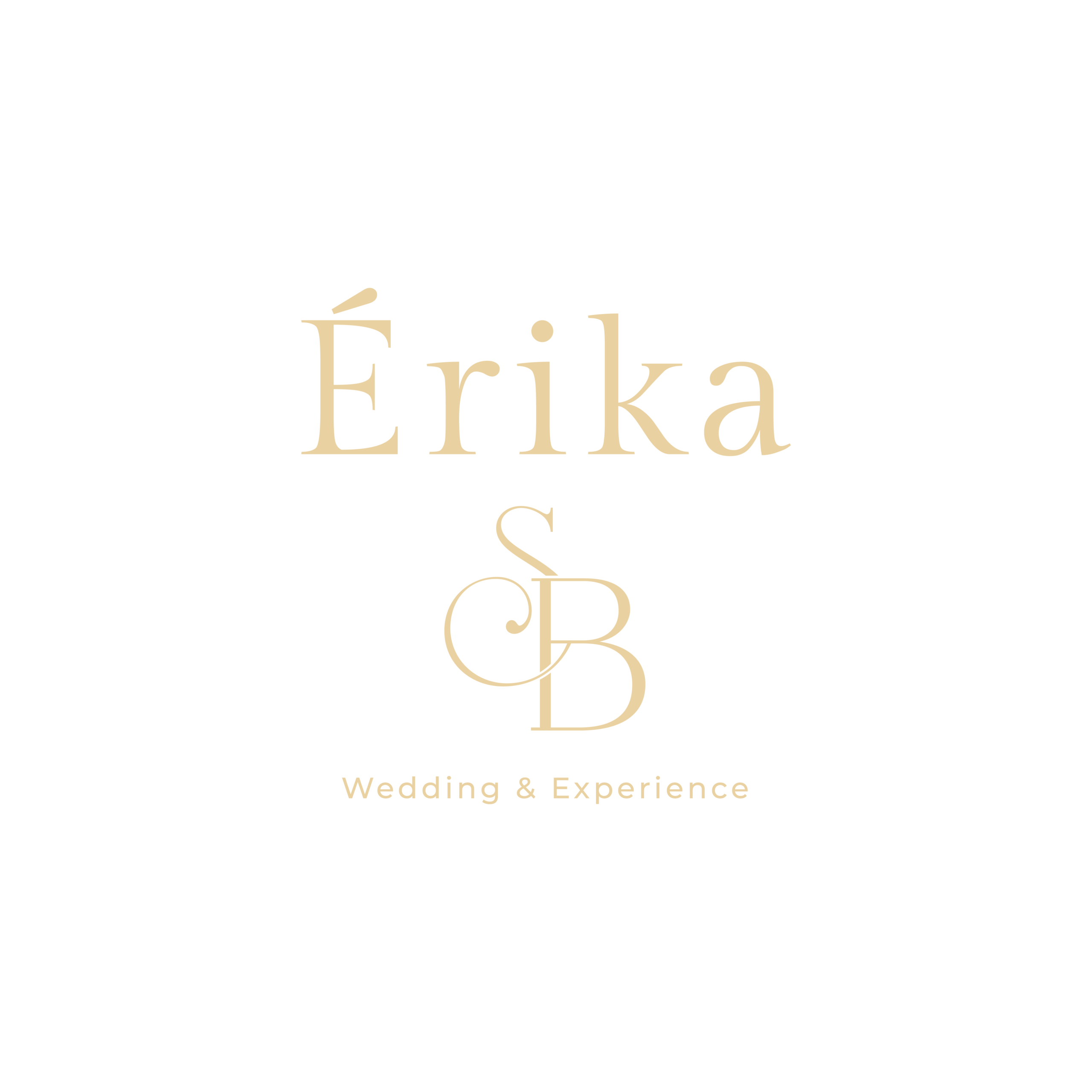 Érika SB Wedding & Experience